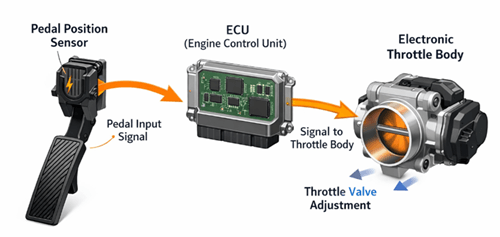 Figure 3. Throttle-By-Wire (Electronic Throttle Control)